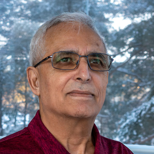 Farid Naisan